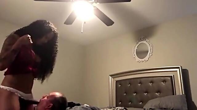 Top Shemales and Sub Boys Collection 15