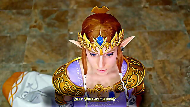 Princess zelda meets her new king