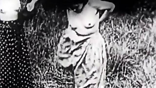 Forbidden Movies From The Brothels Of Paris Wf