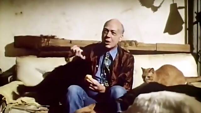 Love Dreams (1981) - Julia Perrin