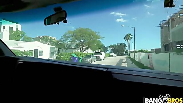 Alexa bangbus