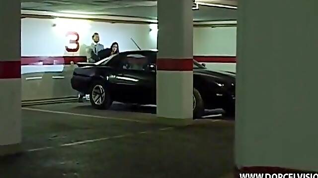 Megan Cole, Pocahontas And Erika Fire - Pornochic 1: Sophia (2003) - Full Movie