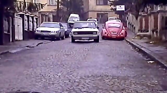 Domace svingeri-serbian