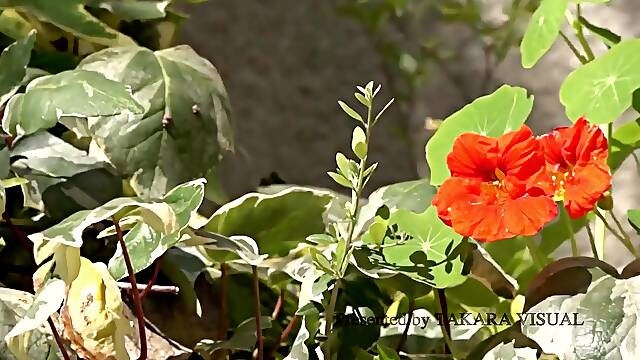 Sprd-1502 代理出産の母 中野七緒