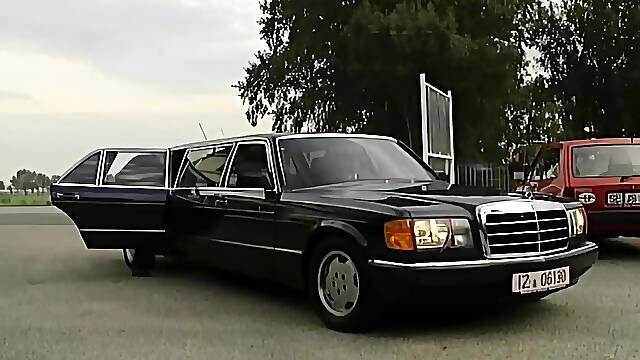 Blond Gina Wild Wishes Hard, Large Ramrods to Screw and Cum