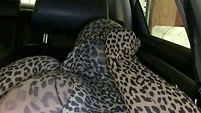 Leopard Encasement in Car