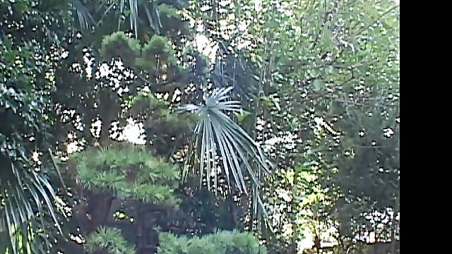 P045G01 Showa Sensual Eros A husband who was restructured from the company and became an impotent decided to let others hold his wife in order to satisfy his wife ...