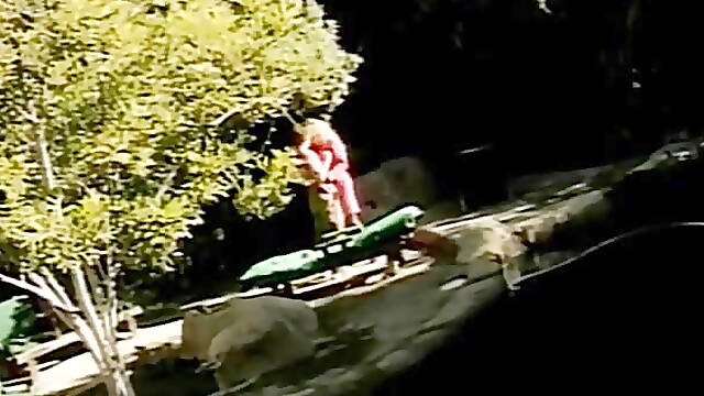 Cute young collegegirls lesbian