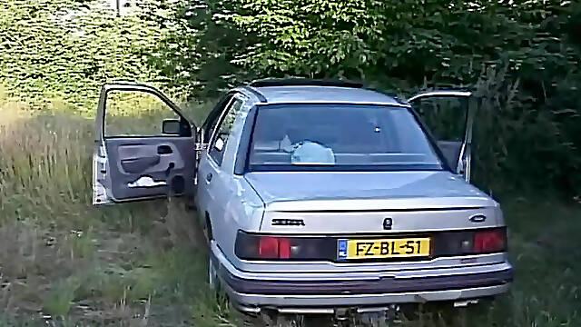 Busty MILF Gets Fucked on the Hood of the Car by a Big Cock That Cums in Her Mouth