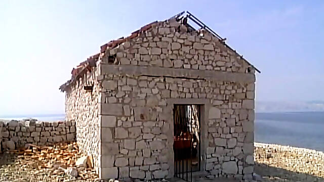 Midnight Wild Encounter (Full Movie)