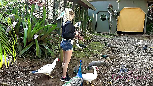 Virtual vacation in Hawaii with Bailey Brooke part 7
